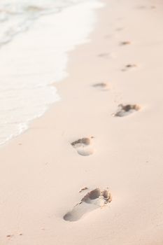 Footprints on the beach. Footsteps of people walking on the beach by the sea.