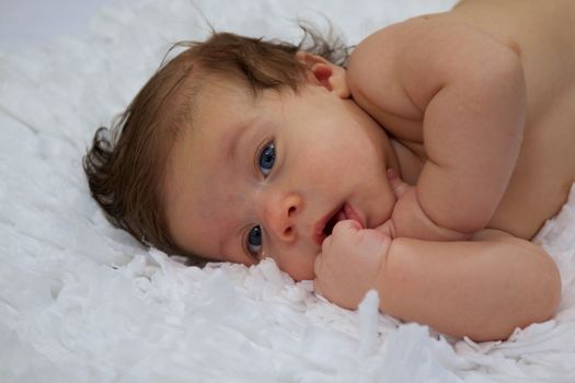 Caucasian Baby Boy with a White Background