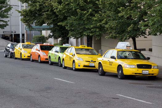 Seattle, WA - July 24, 2015 - Line of Taxi Cabs in Seattle, WA