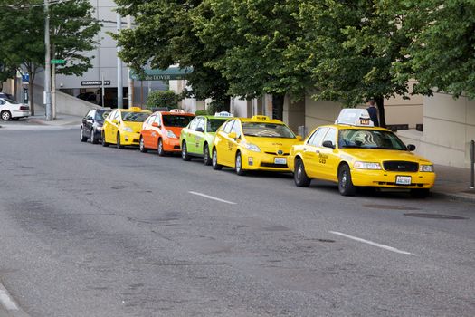 Seattle, WA - July 24, 2015 - Line of Taxi Cabs in Seattle, WA