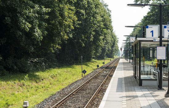 railroad track near train station with green forest at the left side