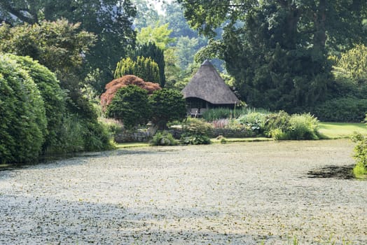 big green garden with water pond and decorated plants and trees and wooden house with place to relax