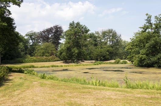 big green garden with water pond and decorated plants and trees