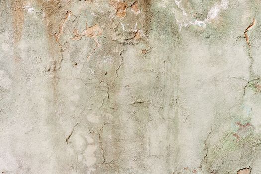 Grunge white background cement old texture wall