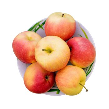 Six red-yellow apples on a wet plate on a white background, top view