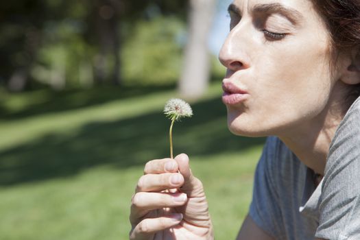 woman grey color shirt make a wish blowing dandelion plant holding in her hand in green park