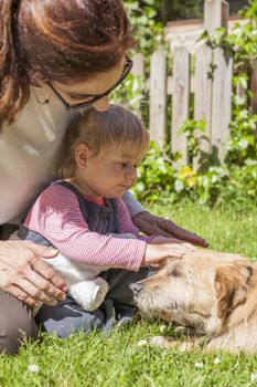 brunette woman mother and blonde baby two years old age touching with hand and petting a brown terrier breed dog belly lying over green grass lawn