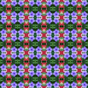 Ruellia tuberosa Linn, bright purple in full bloom seamless use as pattern and wallpaper.