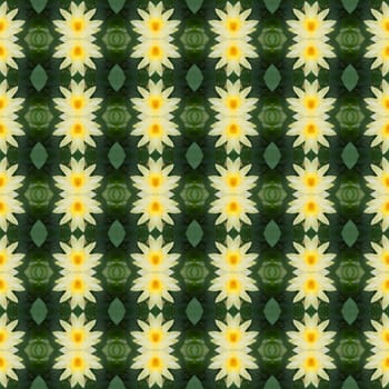 Yellow lotus in full bloom seamless use as pattern and wallpaper.