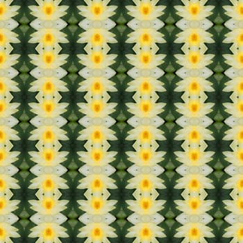 Yellow lotus in full bloom seamless use as pattern and wallpaper.