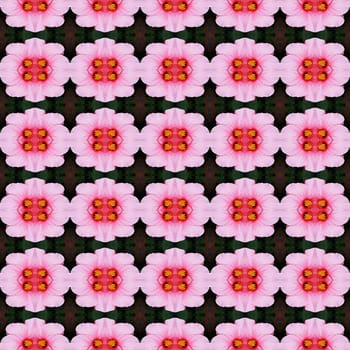 Pink hibiscus flower in full bloom seamless use as pattern and wallpaper.
