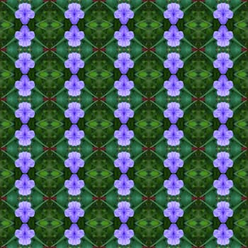 Ruellia tuberosa Linn, bright purple in full bloom seamless use as pattern and wallpaper.
