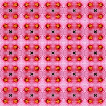 Pink hibiscus flower in full bloom seamless use as pattern and wallpaper.