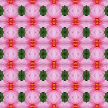 Pink hibiscus flower in full bloom seamless use as pattern and wallpaper.