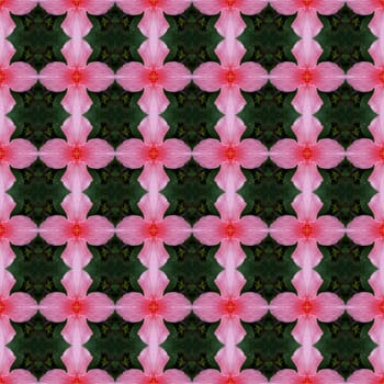 Pink hibiscus flower in full bloom seamless use as pattern and wallpaper.
