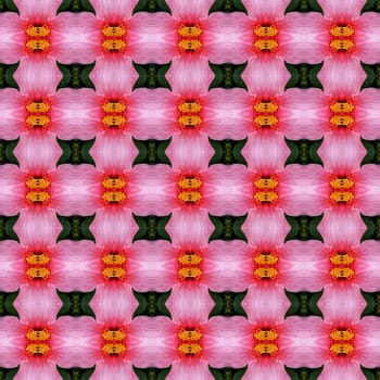 Pink hibiscus flower in full bloom seamless use as pattern and wallpaper.