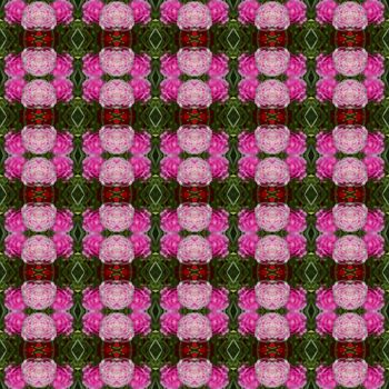 Portulaca flower, small flower planted in the garden, have pink color seamless use as pattern and wallpaper.