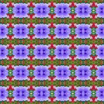 Ruellia tuberosa Linn, bright purple in full bloom seamless use as pattern and wallpaper.