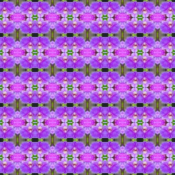 Purple orchids, a bouquet of flowers are in full bloom seamless use as pattern and wallpaper.