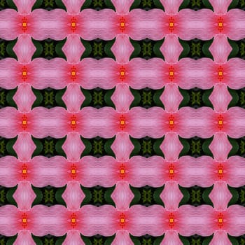 Pink hibiscus flower in full bloom seamless use as pattern and wallpaper.