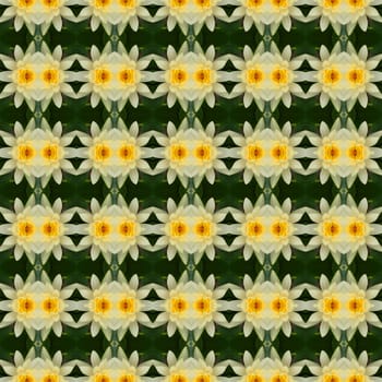 Yellow lotus in full bloom seamless use as pattern and wallpaper.