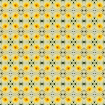 Yellow lotus in full bloom seamless use as pattern and wallpaper.