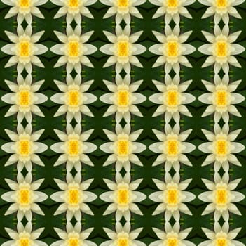 Yellow lotus in full bloom seamless use as pattern and wallpaper.