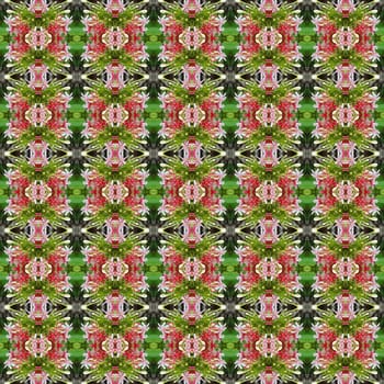 Pink Bouquet of Quisqualis Indica flower is ivy flower seamless use as pattern and wallpaper.