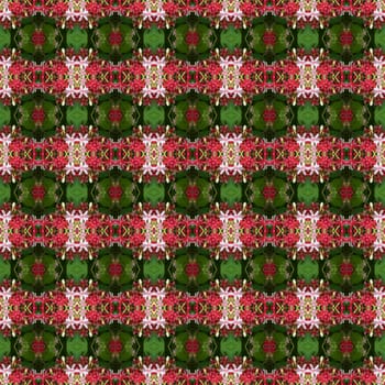 Pink bouquet of Quisqualis Indica flower is ivy flower seamless use as pattern and wallpaper.