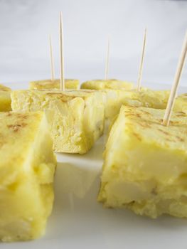 little portions with toothpick of yellow spanish potato omelette on white dish