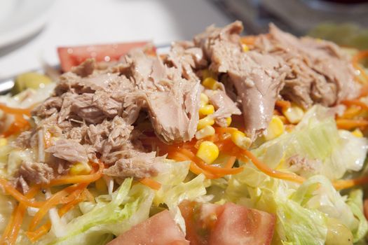 close up of mixed salad with tuna tomate carrot and lettuce