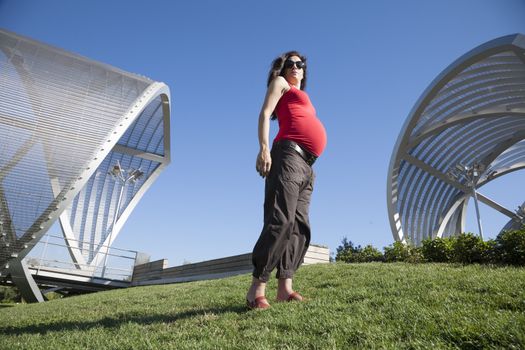 pregnant woman posing stand at top of green hill