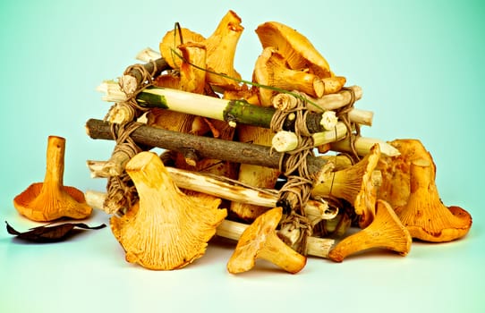 Arrangement of Perfect Raw Chanterelles with Dry Leaf and Grass in Tree Branch Box isolated on Toned background