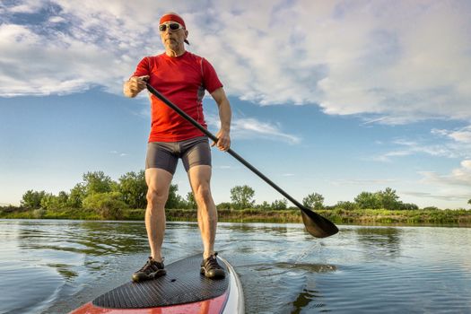 senior muscular male paddler enjoying paddling on stand up paddleboard, calm lake in summer scenery