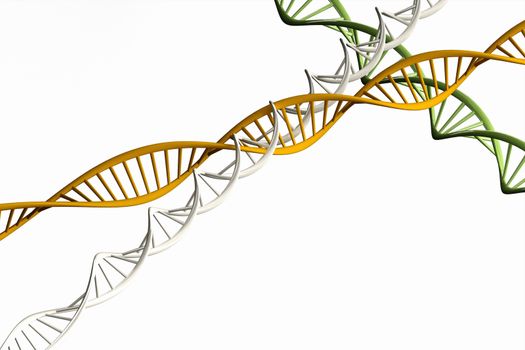 3d render ,Model of twisted DNA chain isolated on white background High resolution. 