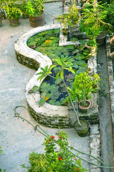 Close-Up Of Garden in house