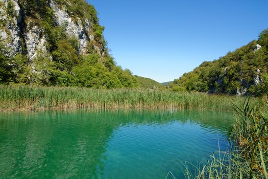 Pond bank landscape in bright summer day in Plitvice, Croatia