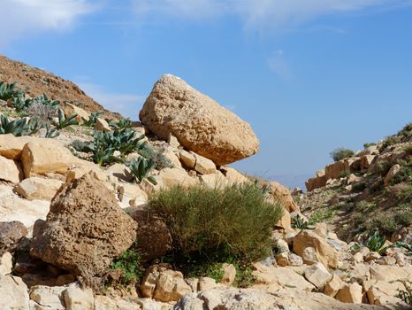 Yellow rock on the hill slope in desert in spring