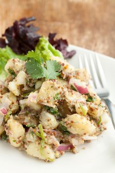 Potato salad freshly homemade without mayonaise.  Ingredients include cilantro olive oil vinegar whole grain dijon mustard red onions and potatoes. 