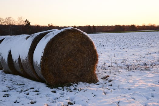 Photo of a hay stack in winter. Agriculture theme.