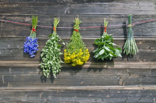 various summer medical flowers and plants on old wooden farm wall, wheat,cornflower,mint,lemon balm,st.Johns wort