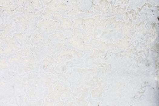 Grunge white background cement old texture wall