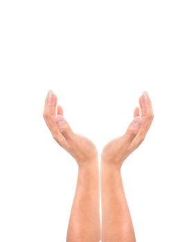 hand gesture concept isolated on white background