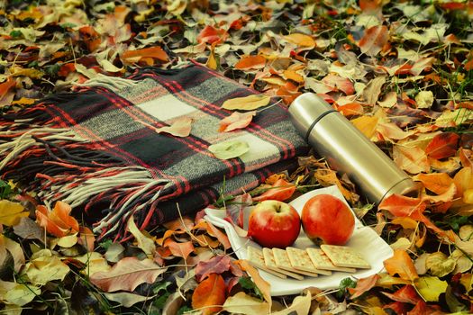 In the woods on the grass, covered with fallen leaves, lies a cozy blanket for relaxing and Breakfast: a thermos of coffee, cookies, apples.