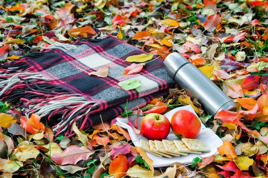 In the woods on the grass, covered with fallen leaves, lies a cozy blanket for relaxing and Breakfast: a thermos of coffee, cookies, apples.