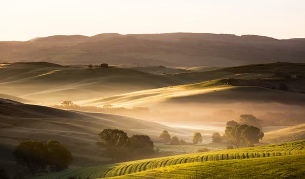 Dawn in Tuscany, Val d'Orcia, Italy
