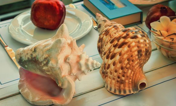 Still life: on the table are two large beautiful sea shell and also, a book, fruit , flowers.