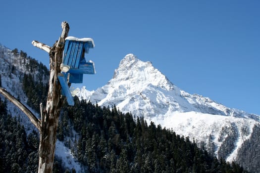 Nesting box, the house for birds in mountains