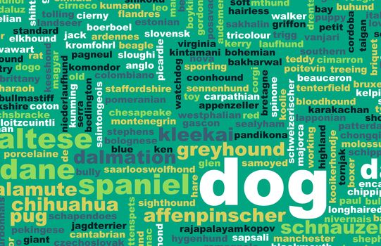 All Types of Dogs and Every Breed as Concept