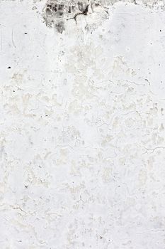 Grunge white background cement old texture wall